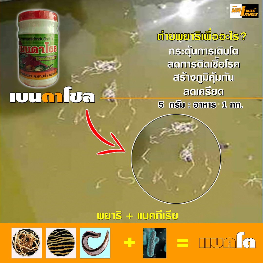เบนดาโซล ยาถ่ายพยาธิภายในสัต์น้ำ